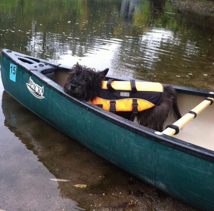 Canoeing And Kayaking Rental Near Me - Kayak Explorer